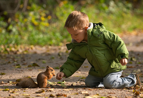 Liten pojke sitter med en ekorre på en grusväg med löv. 