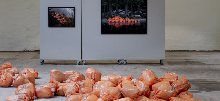 Installation och fotografier från fotoutställningen "Förpackad" av Mattias Käll.
